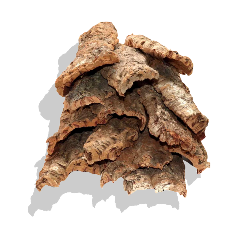 Cork Bark Flats Joe's Frogs