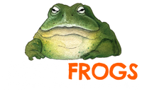 Joe's Frogs