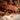 Powder Orange Isopods (Porcellionides pruinosus)