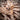 branches premium virgin cork bark cork haven
