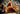 cork bark half rounds cork haven premium virgin cork bark