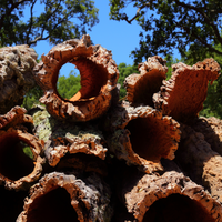 cork bark rounds cork haven premium virgin cork bark